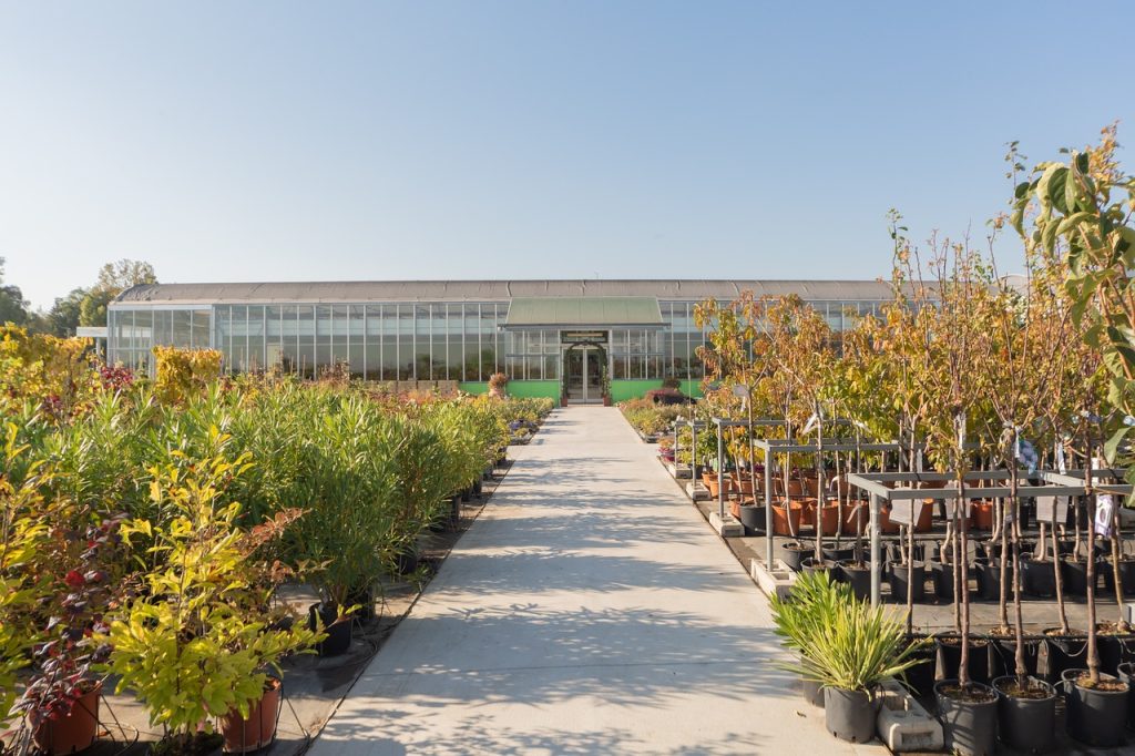 shrubs, trees, nursery, flowering, garden, perennial, nursery-garden, gardening, leaf, nature, agriculture, greenhouse, nursery, nursery, nursery, nursery, nursery, greenhouse