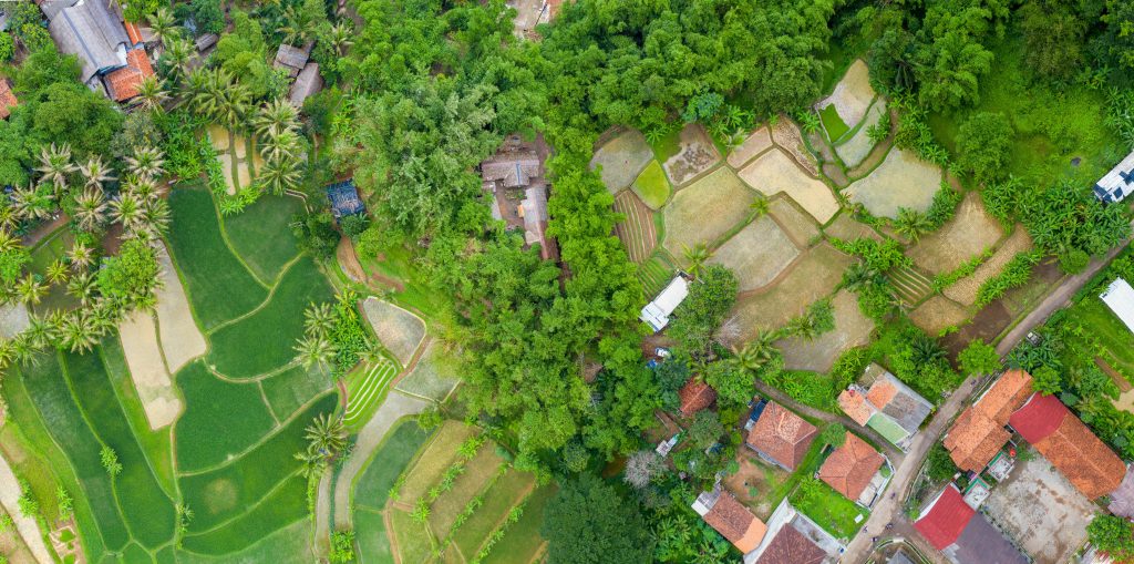 Aerial shot of lush rice fields and a rural village in Cisoka, Banten, Indonesia, showcasing agriculture and natural beauty.