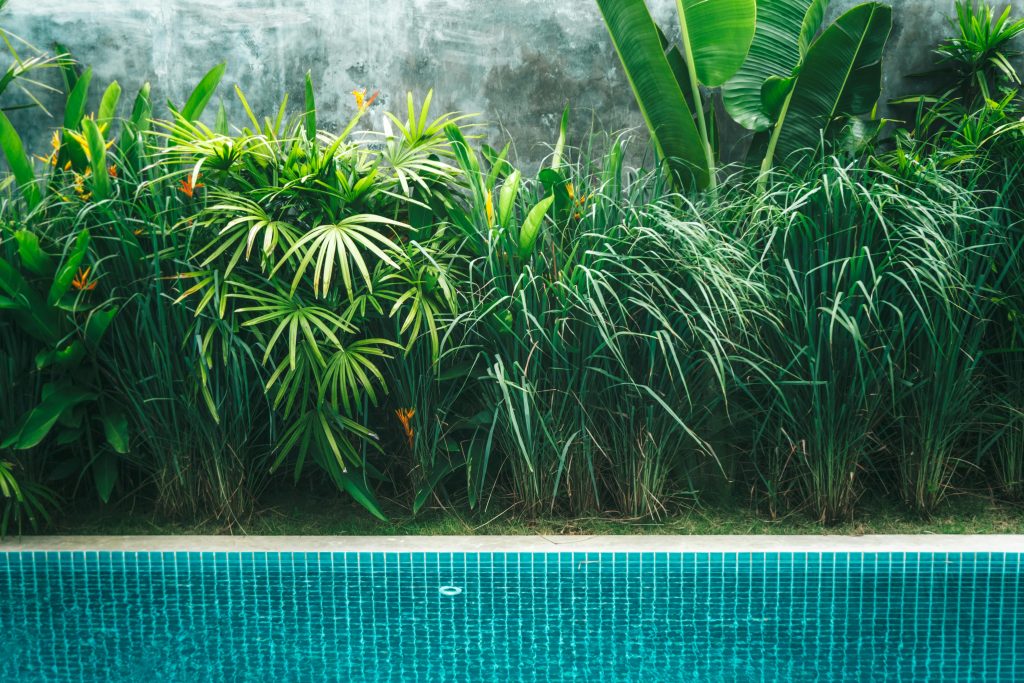 A serene poolside setting surrounded by vibrant tropical plants, ideal for relaxation and tranquility.